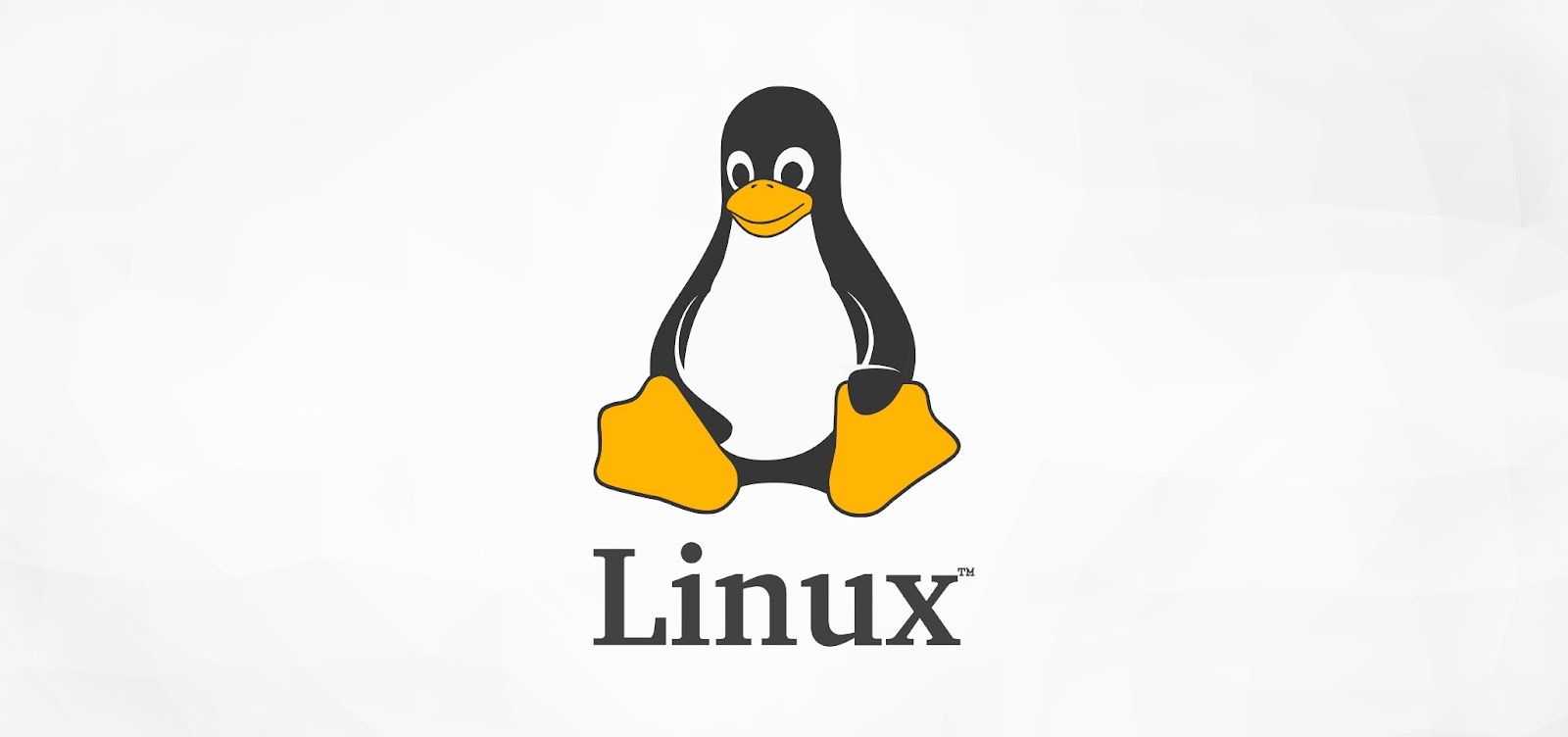 14 Compelling Reasons Programmers Choose Linux 